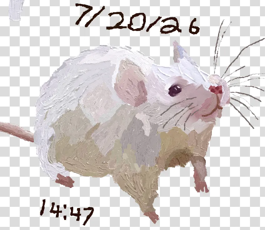 mouse